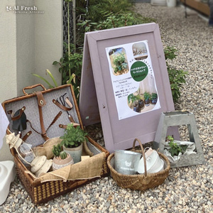 アルフレッシュ 30周年感謝祭 ノエル写真