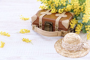 ミモザ トランク 写真